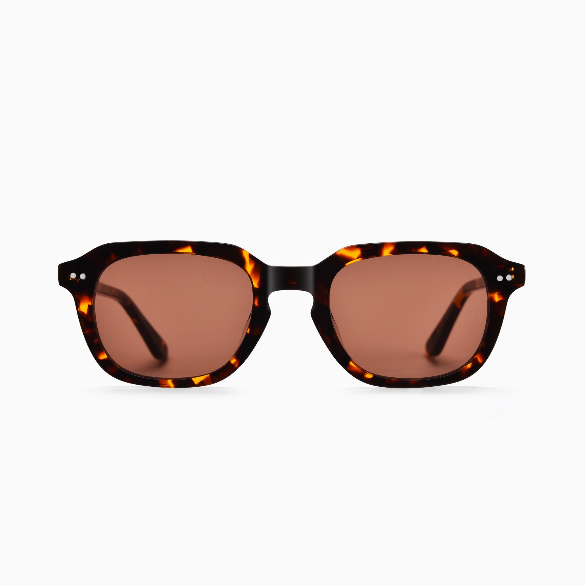 Camber - Chestnut Tortoise