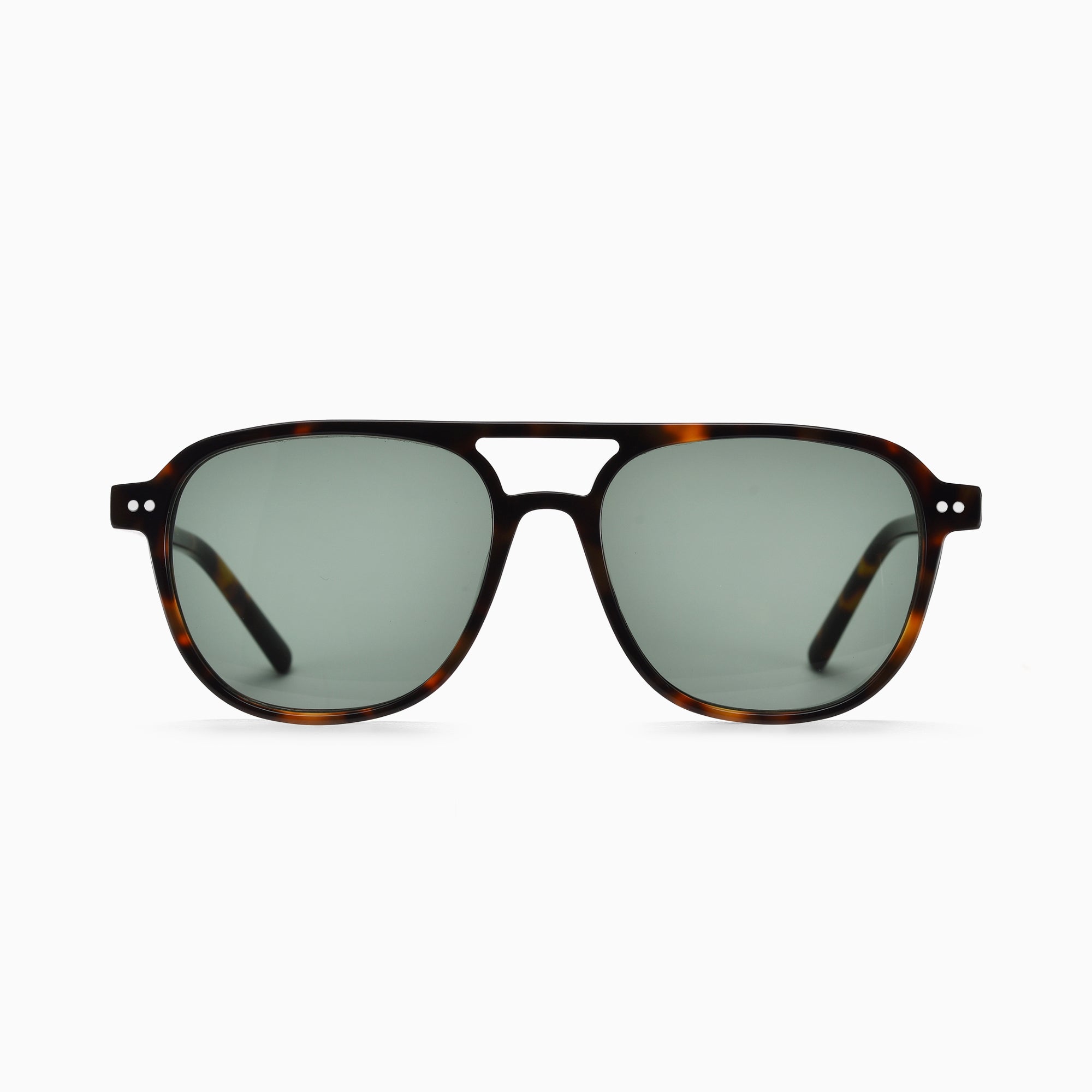 Heath - Forest Tortoise